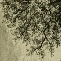 An illustration from Painting, Spanish and French (1890)