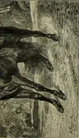 An illustration from Painting, Spanish and French (1890)