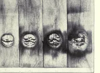 Picture 6 of 9 from Paint researches and their practical application (1917), leaf 211