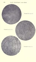 An illustration from Paint technology and tests (1911)