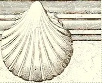 Picture 26 of 124 from Palaces, castles and residences in France: Built from the 15th to the 18th century (1860), leaf 42