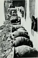 Picture 59 of 178 from The palaces of Crete and their builders (1907), leaf 134