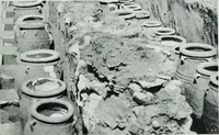 Picture 61 of 178 from The palaces of Crete and their builders (1907), leaf 138