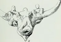 An illustration from The palaces of Crete and their builders (1907)