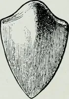 An illustration from The palaces of Crete and their builders (1907)