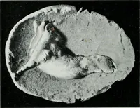 Picture 137 of 178 from The palaces of Crete and their builders (1907), leaf 267