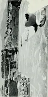 An illustration from The palaces of Crete and their builders (1907)