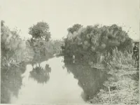 An illustration from Palerme & Syracuse (1907)