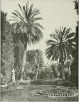 An illustration from Palerme & Syracuse (1907)