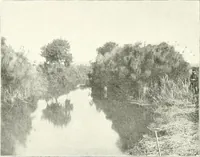 An illustration from Palerme & Syracuse (1907)