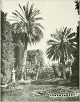 An illustration from Palerme & Syracuse (1907)