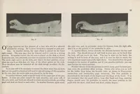 Picture 1 of 5 from The Palmer method of business writing : a series of self-teaching lessons in rapid, plain, unshaded, coarse-pen, muscular movement writing for use in all schools, public or private, where an easy and legible handwriting is the object sought; also for the home learner (1915), leaf 15
