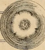 An illustration from Pami︠a︡tniki t︠s︡erkovnykh drevnosteĭ (1857)