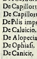 An illustration from [Pamphilia] : mundi vniuersi amicitia, cui dissidentes philosophorum opiniones conciliantur, & parantur ex re medica amicitiae, & praesertim coniugiis conducentia formositas, & foecunditas : opus philosophiae, & medicinae studiosis compositum (1647)