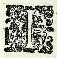 An illustration from [Pamphilia] : mundi vniuersi amicitia, cui dissidentes philosophorum opiniones conciliantur, & parantur ex re medica amicitiae, & praesertim coniugiis conducentia formositas, & foecunditas : opus philosophiae, & medicinae studiosis compositum (1647)