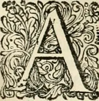 Picture 37 of 132 from Pampiere wereld, ofte, Wereldsche oeffeninge : waer in begrepen zijn meest alle de rijmen en werken (1681), leaf 204