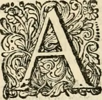 An illustration from Pampiere wereld, ofte, Wereldsche oeffeninge : waer in begrepen zijn meest alle de rijmen en werken (1681)