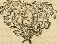 Picture 120 of 132 from Pampiere wereld, ofte, Wereldsche oeffeninge : waer in begrepen zijn meest alle de rijmen en werken (1681), leaf 713