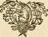 An illustration from Pampiere wereld, ofte, Wereldsche oeffeninge : waer in begrepen zijn meest alle de rijmen en werken (1681)