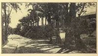Picture 5 of 16 from The Panama guide (1912), leaf 48
