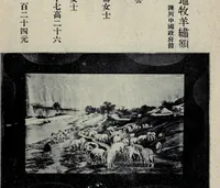 Picture 4 of 7 from Panama Pacific international exposition (1915), leaf 39