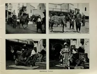 Picture 16 of 17 from The Pan-American at a glance (1901), leaf 31