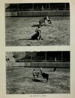 Picture 17 of 17 from The Pan-American at a glance (1901), leaf 33