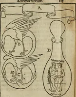 An illustration from Pandora, das ist, Die edleste Gab Gottes, oder, Der werde vnnd heilsamme Stein der Weysen, mit welchem die alten Philosophi, auch Theophrastus Paracelsus, die vnvolkom[m]ene Metallen, durch Gewalt des Fewrs verbessert, sampt allerley schädliche vnd unheilsame Kranckheiten, innerlich vnd eusserlich haben vertrieben : ein Guldener Schatz, welcher durch einen Liebhaber diser Kunst, von seinem Untergang errettet ist worden, vnnd zu Nutz allen Menschen, fürnem[m]lich den Liebhabern der Paracelsischen Artzney, erst jetz in Truck verfertiget (1582)