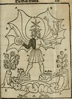 An illustration from Pandora, das ist, Die edleste Gab Gottes, oder, Der werde vnnd heilsamme Stein der Weysen, mit welchem die alten Philosophi, auch Theophrastus Paracelsus, die vnvolkom[m]ene Metallen, durch Gewalt des Fewrs verbessert, sampt allerley schädliche vnd unheilsame Kranckheiten, innerlich vnd eusserlich haben vertrieben : ein Guldener Schatz, welcher durch einen Liebhaber diser Kunst, von seinem Untergang errettet ist worden, vnnd zu Nutz allen Menschen, fürnem[m]lich den Liebhabern der Paracelsischen Artzney, erst jetz in Truck verfertiget (1582)