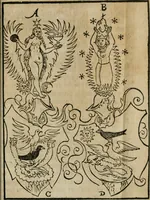 An illustration from Pandora, das ist, Die edleste Gab Gottes, oder, Der werde vnnd heilsamme Stein der Weysen, mit welchem die alten Philosophi, auch Theophrastus Paracelsus, die vnvolkom[m]ene Metallen, durch Gewalt des Fewrs verbessert, sampt allerley schädliche vnd unheilsame Kranckheiten, innerlich vnd eusserlich haben vertrieben : ein Guldener Schatz, welcher durch einen Liebhaber diser Kunst, von seinem Untergang errettet ist worden, vnnd zu Nutz allen Menschen, fürnem[m]lich den Liebhabern der Paracelsischen Artzney, erst jetz in Truck verfertiget (1582)