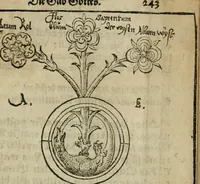 An illustration from Pandora, das ist, Die edleste Gab Gottes, oder, Der werde vnnd heilsamme Stein der Weysen, mit welchem die alten Philosophi, auch Theophrastus Paracelsus, die vnvolkom[m]ene Metallen, durch Gewalt des Fewrs verbessert, sampt allerley schädliche vnd unheilsame Kranckheiten, innerlich vnd eusserlich haben vertrieben : ein Guldener Schatz, welcher durch einen Liebhaber diser Kunst, von seinem Untergang errettet ist worden, vnnd zu Nutz allen Menschen, fürnem[m]lich den Liebhabern der Paracelsischen Artzney, erst jetz in Truck verfertiget (1582)