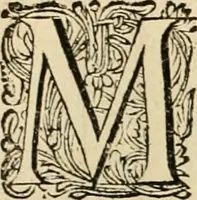 An illustration from Panegyricus aeternaturae gloriae invictissimo semper hostium triumphatori ... Ioanni Christophoro Königsmarchio ... destinatus : atq[ue] hoc die, qui laudum ipsius primus factorum supremus est, non dolori at solatio, non funeri sed splendori, coelo orbi posteris in gloriam famam exemplum expositus ... (1663)