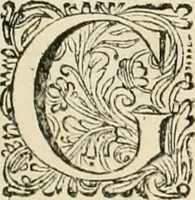 An illustration from Panegyricus aeternaturae gloriae invictissimo semper hostium triumphatori ... Ioanni Christophoro Königsmarchio ... destinatus : atq[ue] hoc die, qui laudum ipsius primus factorum supremus est, non dolori at solatio, non funeri sed splendori, coelo orbi posteris in gloriam famam exemplum expositus ... (1663)