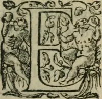 An illustration from Panegyrique de l'Henoticon ou edict de Henry III, roy de France & de Poloigne, sur la reünion de ses subiets à l'Eglise catholique, apostolique, & romaine; auec vne sommaire exposition d'iceluy: & ample discours des moyens, de purger les royaumes d'heresies, schismes, troubles, & seditions (1588)