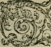 An illustration from Panegyrique de l'Henoticon ou edict de Henry III, roy de France & de Poloigne, sur la reünion de ses subiets à l'Eglise catholique, apostolique, & romaine; auec vne sommaire exposition d'iceluy: & ample discours des moyens, de purger les royaumes d'heresies, schismes, troubles, & seditions (1588)