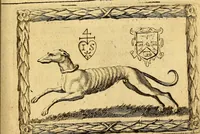 Picture 14 of 32 from [Pansébeia]: or, A view of all the religions in the world: with the severall church-governments, from the creation, to these times. Also, a discovery of all known heresies .. (1658), leaf 556