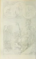 Picture 15 of 26 from Pantheum mythicum, seu, Fabulosa deorum historia : hoc epitomes eruditionis volumine breviter dilucidèque comprehensa (1777), leaf 220