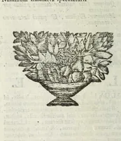 An illustration from Pantheum mythicum, seu, Fabulosa deorum historia : hoc epitomes eruditionis volumine breviter dilucidèque comprehensa (1777)
