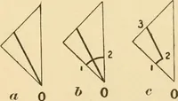 An illustration from Paper folding and cutting; a series of foldings and cuttings especially adapted to kindergartens and public schools (1892)