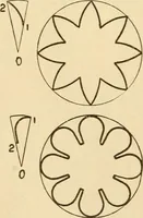 An illustration from Paper folding and cutting; a series of foldings and cuttings especially adapted to kindergartens and public schools (1892)