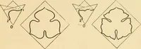 An illustration from Paper folding and cutting; a series of foldings and cuttings especially adapted to kindergartens and public schools (1892)