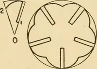 An illustration from Paper folding and cutting; a series of foldings and cuttings especially adapted to kindergartens and public schools (1892)