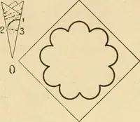 An illustration from Paper folding and cutting; a series of foldings and cuttings especially adapted to kindergartens and public schools (1892)