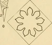 An illustration from Paper folding and cutting; a series of foldings and cuttings especially adapted to kindergartens and public schools (1892)