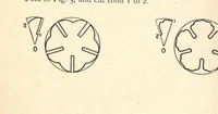 Picture 3 of 4 from Paper folding and cutting; a series of foldings and cuttings especially adapted to kindergartens and public schools (1892), leaf 40