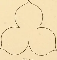 An illustration from Paper and scissors in the schoolroom (1893)