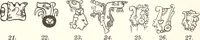 Picture 2 of 84 from Papers of the Peabody Museum of American Archaeology and Ethnology, Harvard University (1904), leaf 39