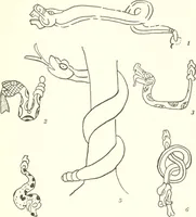 An illustration from Papers of the Peabody Museum of American Archaeology and Ethnology, Harvard University (1904)