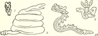 Picture 28 of 84 from Papers of the Peabody Museum of American Archaeology and Ethnology, Harvard University (1904), leaf 410