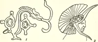 Picture 36 of 84 from Papers of the Peabody Museum of American Archaeology and Ethnology, Harvard University (1904), leaf 422